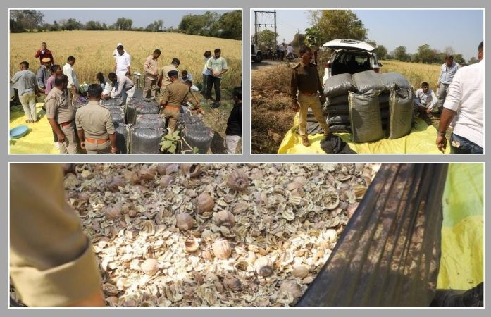 મહીસાગર પોલીસની મોટી કાર્યવાહી: લક્ઝરી કારમાંથી પોષ ડોડાનો જથ્થો ઝડપાયો, આરોપીઓ ફરાર 1 - image