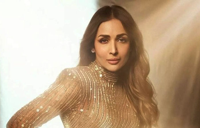 મારા માટે ફેમિલી-ફ્રેન્ડ્સ અને શાંતિ મહત્ત્વપૂર્ણ...', પર્સનલ લાઈફ પર ટ્રોલિંગ મુદ્દે મલાઈકા અરોરાનો જવાબ 1 - image