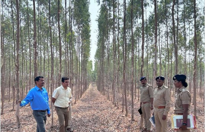 ગ્રીન ગુજરાતના દાવા વચ્ચે લક્ષ્યાંકથી ઘણું દૂર રાજ્યનું ગ્રીન કવર, 42,340 ચોરસ કિલોમીટરની હજુ પણ ઘટ 2 - image