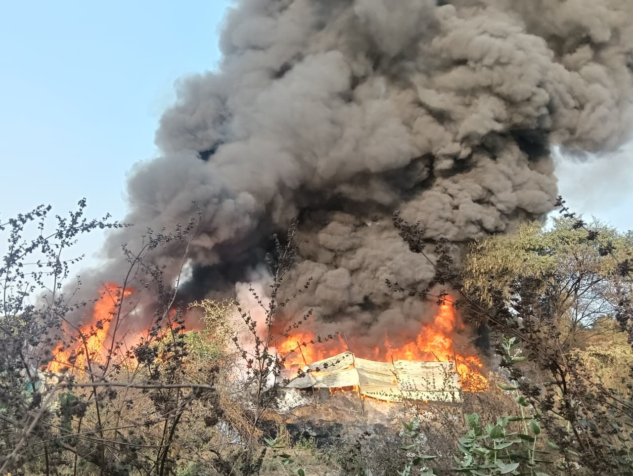 હાલોલ-પાવાગઢ રોડ પર સ્ક્રેપના ગોડાઉનમાં ભીષણ આગ; આકાશમાં ધુમાડાના ગોટેગોટા, ફાયર ફાઈટરો ઘટનાસ્થળે 4 - image