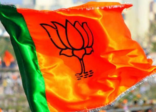 ભરૃચ ભાજપની જેમ વડોદરા જિલ્લા ભાજપમાં પણ ઉકળાટ,એક હોદ્દેદારના વર્તનથી કાર્યકરો નારાજ 1 - image