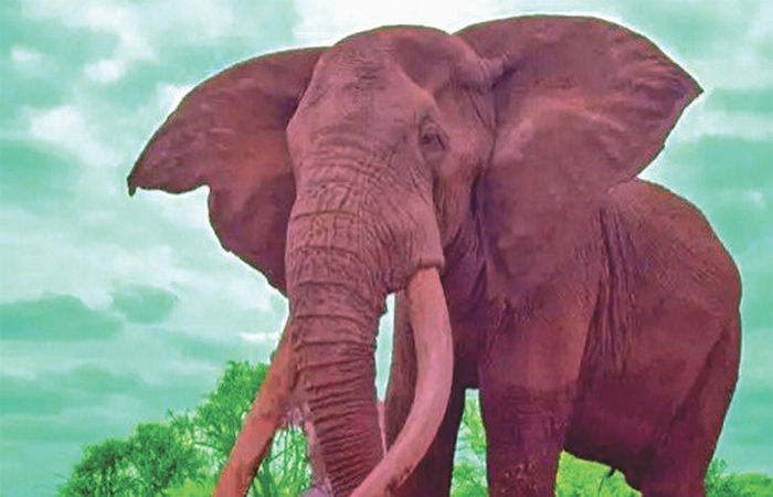 બજારની વાત                          . 6 - image