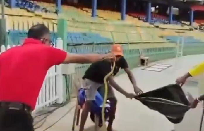 Snake In Pakistan Dugout R. Premadasa Stadium