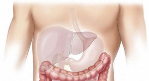 Sleep well avoid junk food to keep your liver healthy