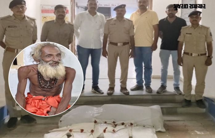 કચ્છના રાપરમાં 'મામાદેવ મંદિર'ના પૂજારીએ ગાંજો વાવ્યો, 14 લીલા છોડ સાથે થઈ ધરપકડ 1 - image