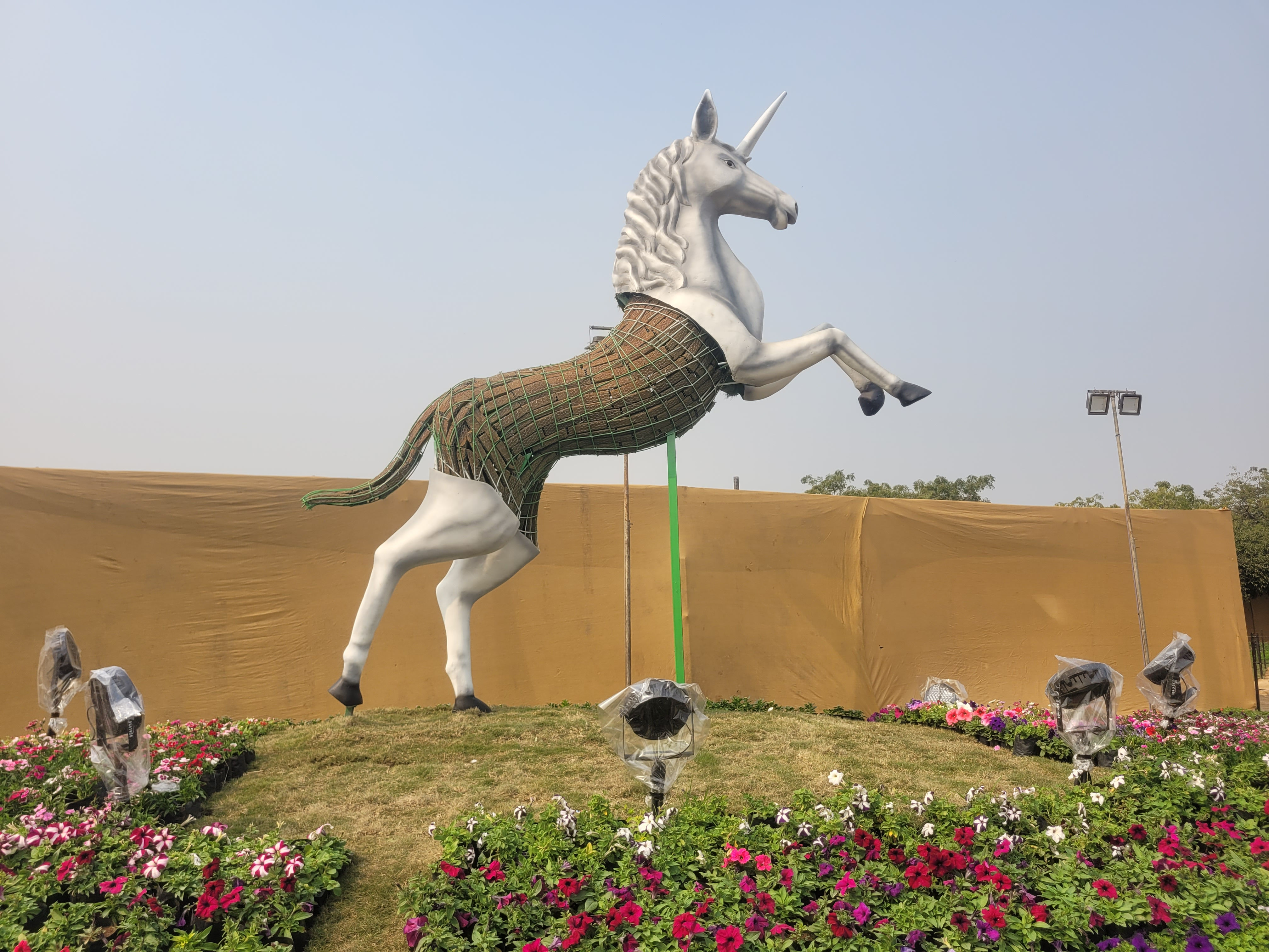 અમદાવાદમાં ફૂલોનો મનમોહક દરિયો! 1 જાન્યુઆરીથી ફ્લાવર શોનો પ્રારંભ, જાણો મુખ્ય આકર્ષણો અને ટિકિટના દર 4 - image