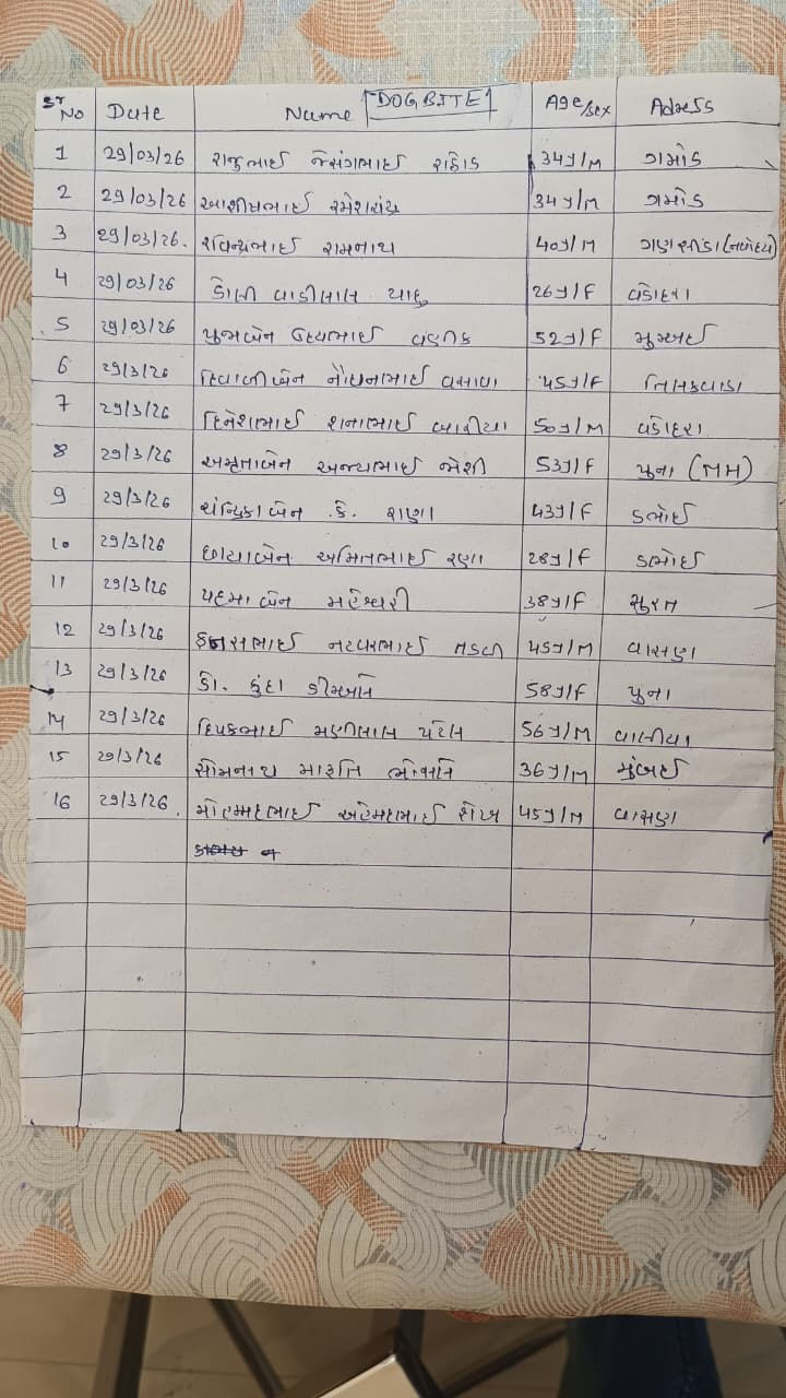 નર્મદા: તિલકવાડામાં પરિક્રમાવાસીઓ પર શ્વાનનો આતંક, 16 શ્રદ્ધાળુઓને બચકા ભર્યા 2 - image