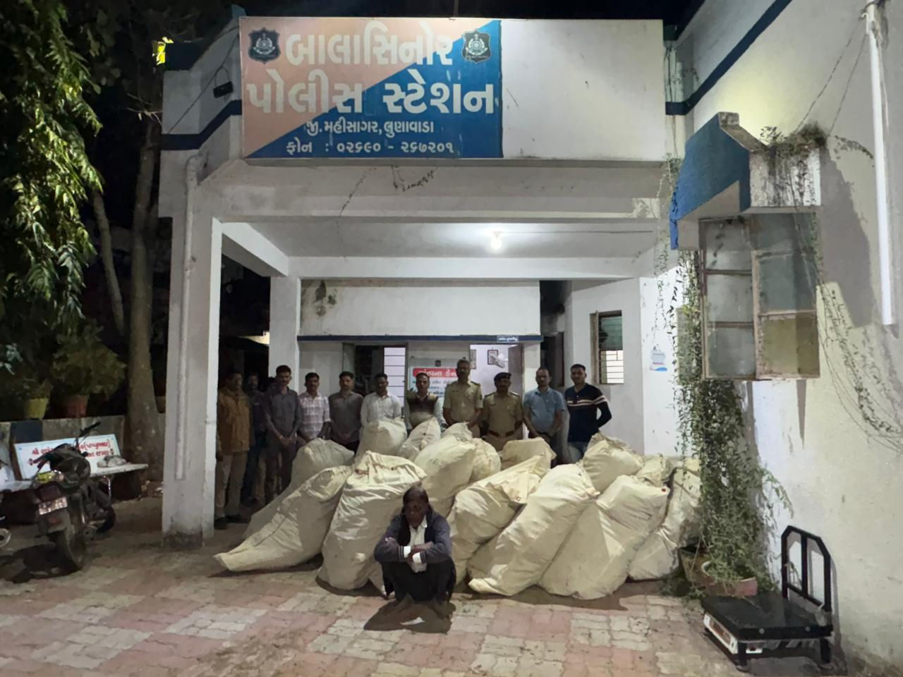 મહીસાગરના બાલાસિનોર નજીક એરંડાની આડમાં ગાંજાની ખેતી, 2 કરોડથી વધુનો જથ્થો થપ્ત 3 - image