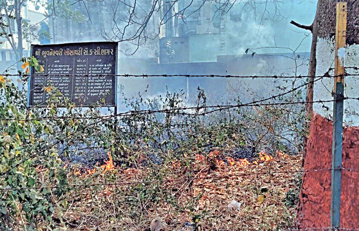 વનઆરક્ષિત વિસ્તારમા આગની શરૂઆત : હરિયાળી પર જોખમ 1 - image