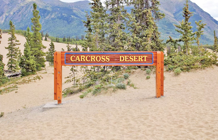 કેનેડામાં 2.5 કિ.મી.માં ફેલાયેલું છે દુનિયાનું સૌથી નાનું રણ! ચારેબાજુ હરિયાળી અને વચ્ચે રેતાળ જમીન 1 - image