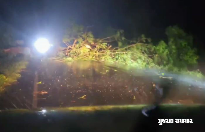 VIDEO: અમરેલીના સાવરકુંડલા, રાજુલા સહિત ગ્રામ્ય વિસ્તારોમાં ગાજવીજ સાથે ધોધમાર વરસાદ 4 - image