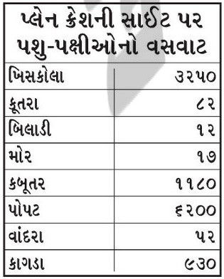 અમદાવાદ પ્લેન ક્રેશ સાઇટ પર અનોખી શ્રદ્ધાંજલિ: 12,000 અબોલ જીવોને એક વર્ષ સુધી જમાડ્યા! 2 - image