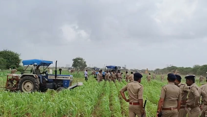 અબડાસામાં વન વિભાગની જમીન પરનું દબાણ હટાવાયું, 350 હેક્ટર જમીન ખુલ્લી કરાઈ 2 - image