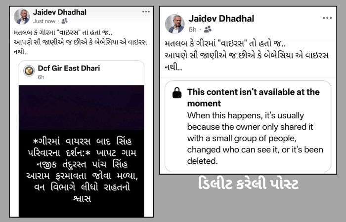 ગીરમાં સિંહોના મોત પર વન વિભાગમાં જ ડખો: મંત્રીનો વાઈરસ ન હોવાનો દાવો, પણ DCFની 'વાઈરસ'વાળી પોસ્ટે પોલ ખોલી! 2 - image