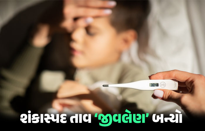 4 દિવસમાં 12નાં મોતથી ગુજરાતના આ તાલુકામાં હડકંપ, કારણ છે શંકાસ્પદ તાવ, તંત્ર દોડતું થયું 1 - image