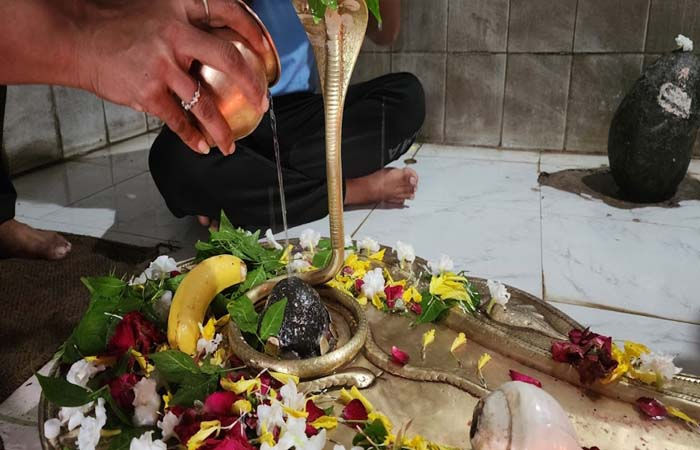 પિકનિક ટ્રેન્ડ 3 - શ્રીવાન મહિનાના સુરત સપ્તાહમાં શિવ ભક્તિ સાથેની છબી