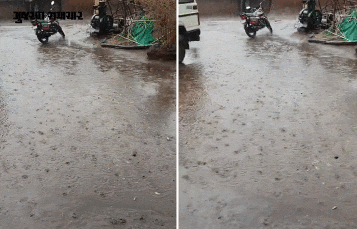 VIDEO | નર્મદા: દેડિયાપાડા સહિતના વિસ્તારોમાં કરા સાથે માવઠું, ભર ઉનાળે ચોમાસા જેવો માહોલ 2 - image