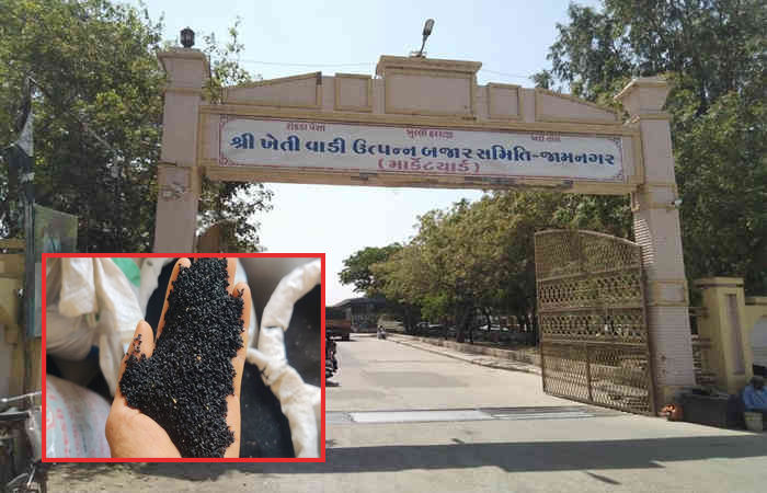 જામનગરના હાપા માર્કેટિંગ યાર્ડમાં આજે નવી કલોંજીની 10 મણની આવક થઈ : મુહૂર્તના સોદામાં 20 કિલોનો 4,151નો ભાવ બોલાયો 1 - image