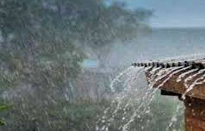 દેશમાં ડઝનેક સીસ્ટમથી માવઠાંનો માહૌલ : અમરેલી પંથકમાં વરસાદ 1 - image