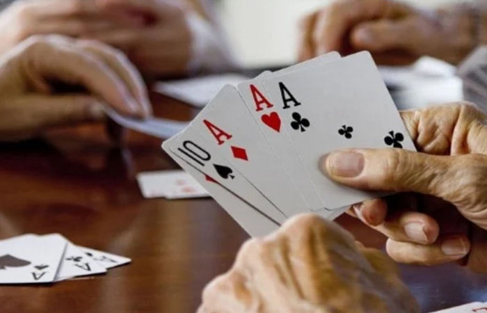 નવાપુરા વિસ્તારની સોસાયટીમાં પોલીસનો દરોડો, 11 જુગારીઓ ઝડપાયા 1 - image