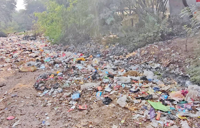 અણીલા ગામે સફાઈ માટે રૂ. ત્રણ લાખની ગ્રાન્ટ છતાં ઠેરઠેર ગંદકી 1 - image