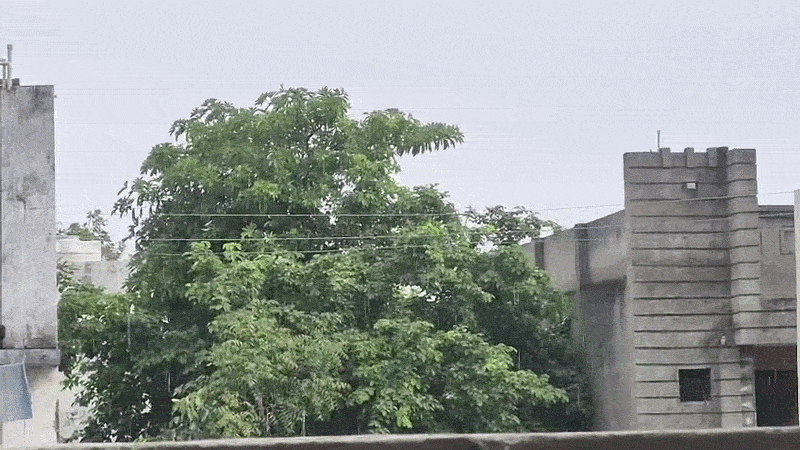 ગુજરાતના અનેક જિલ્લામાં ગાજવીજ સાથે ધોધમાર વરસાદ, વંટોળ સાથે ધૂળની ડમરીઓ ઉડી 3 - image