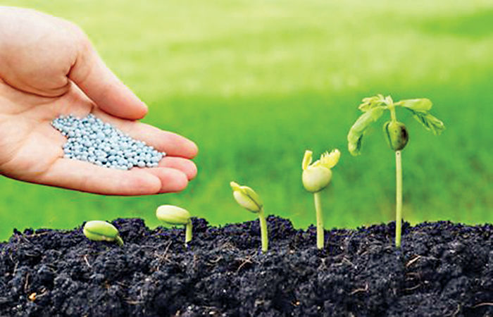 ખેતરમાં ખાતરની શી જરૂર? 1 - image