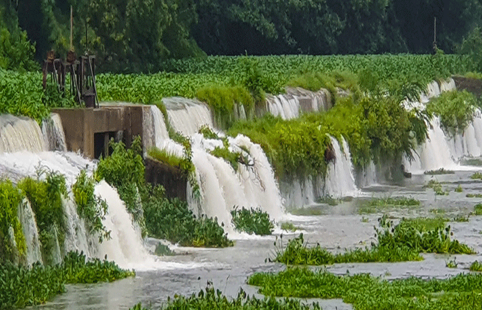 જૂનાગઢ જિલ્લાના તમામ તાલુકામાં સરેરાશ 100 ટકાથી વધુ વરસાદ 1 - image