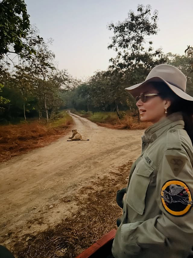 PHOTOS: ગુજરાતના જંગલોમાં કંગના રણૌતની એડવેન્ચર સફર, ભત્રીજા પૃથ્વી સાથે પહોંચી ગીર નેશનલ પાર્કમાં 2 - image