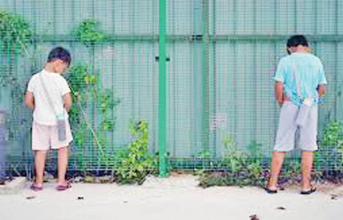 બજારની વાત                          . 6 - image