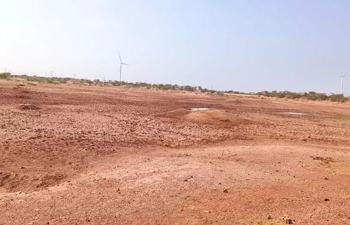 મુળી અને ચોટીલા પંથકમાં તળાવો તળિયાઝાટક : પશુપાલકોની હિજરત શરૂ 1 - image