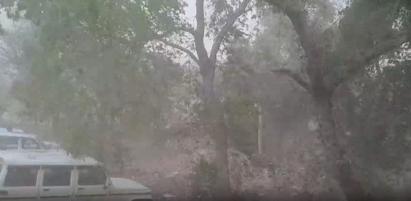 Rajasthan braces for strong winds and heavy rainfall today