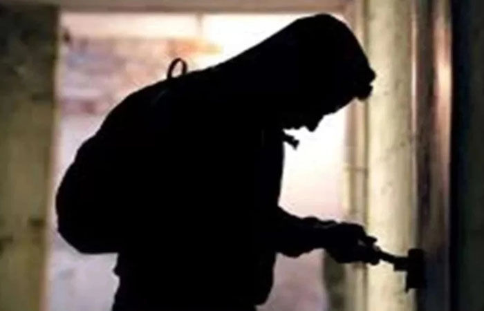 વાઘોડિયા રોડ પર મોપેડ શોરૂમ સંચાલકના ઘરમાં 12 હજારની ચોરી 1 - image