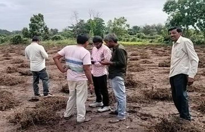 પાક નુકશાનીનો સર્વે : જિલ્લાના 699 પૈકી 550 થી વધુ ગામમાં પંચરોજ કામ સહિતની કામગીરી પૂર્ણ 1 - image