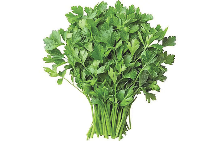 ઉનાળાના અમૃત - (1) . 1 - image