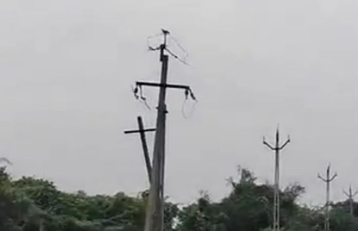 સુરતના માંગરોળમાં ખેતી લાઈન પરથી વીજતારની ચોરી, ખેડૂતો હેરાનપરેશાન 1 - image