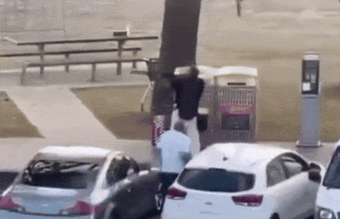 VIDEO: શૂટરને પાછળથી પકડીને બંદૂક છીનવી... ઓસ્ટ્રેલિયાના બહાદુર નાગરિકની વિશ્વભરમાં ચર્ચા 1 - image