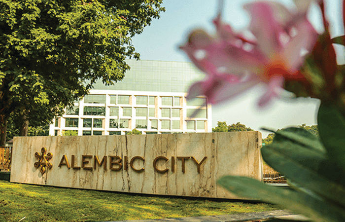 વડોદરામાં એલેમ્બિક સિટીમાંથી પસાર થતા રસ્તાનો વિવાદ : આખરે રોડ લોકો માટે ખુલ્લો કરાવ્યો 1 - image