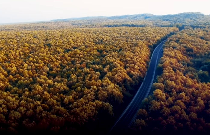 દિલ્હીથી દેહરાદૂન એક્સપ્રેસ વે! એશિયાના સૌથી લાંબા વાઈલ્ડ લાઈફ કોરિડોરનું PM મોદીએ કર્યું લોકાર્પણ 2 - image