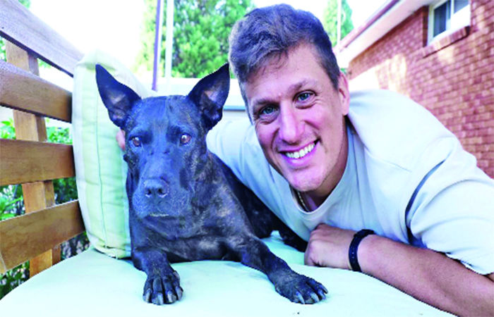 કીમો અને સર્જરી છતાં કેન્સર સામે હારી ગયેલા શ્વાન રોઝીને AIએ જીવતદાન આપ્યું 1 - image