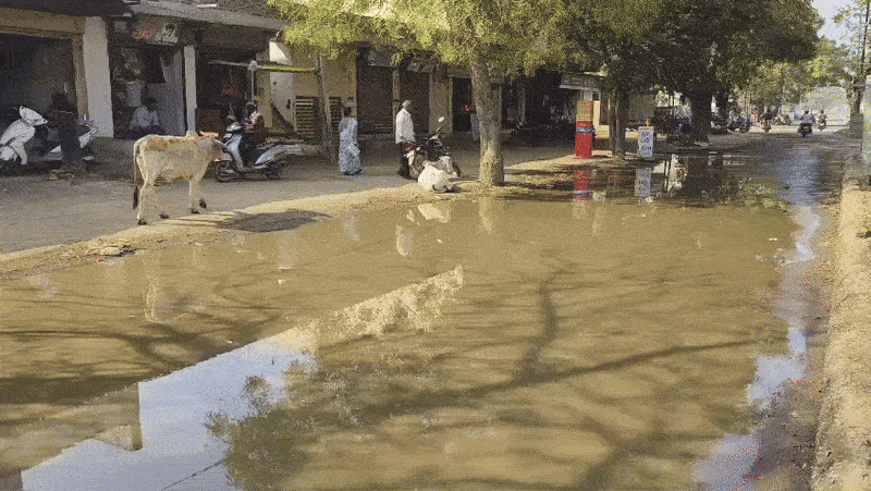 સાવરકુંડલામાં 'વિકાસ'ની દુર્ગંધ! મુખ્ય બજાર-ભાજપના નેતાના ઘર પાસે જ ગટરના પાણીની રેલમછેલ, તંત્રના વાંકે રોગચાળાનો ભય 2 - image