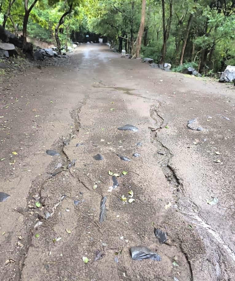 Video: ગિરનારની લીલી પરિક્રમા સ્થગિત, કમોસમી વરસાદને કારણે તંત્ર-સાધુ સંતોની બેઠકમાં નિર્ણય 3 - image