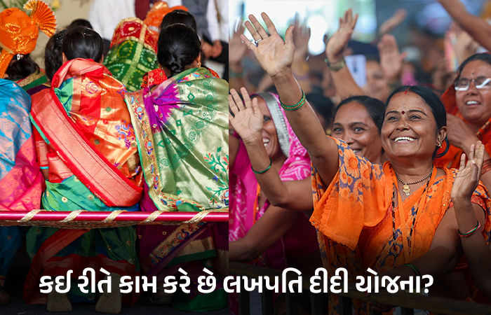 બનાસકાંઠા અને તાપીના રમીલાબેનની કહાણી: આદિવાસી ભોજન પીરસતી રેસ્ટોરન્ટનું ટર્નઓવર ₹41 લાખ 1 - image