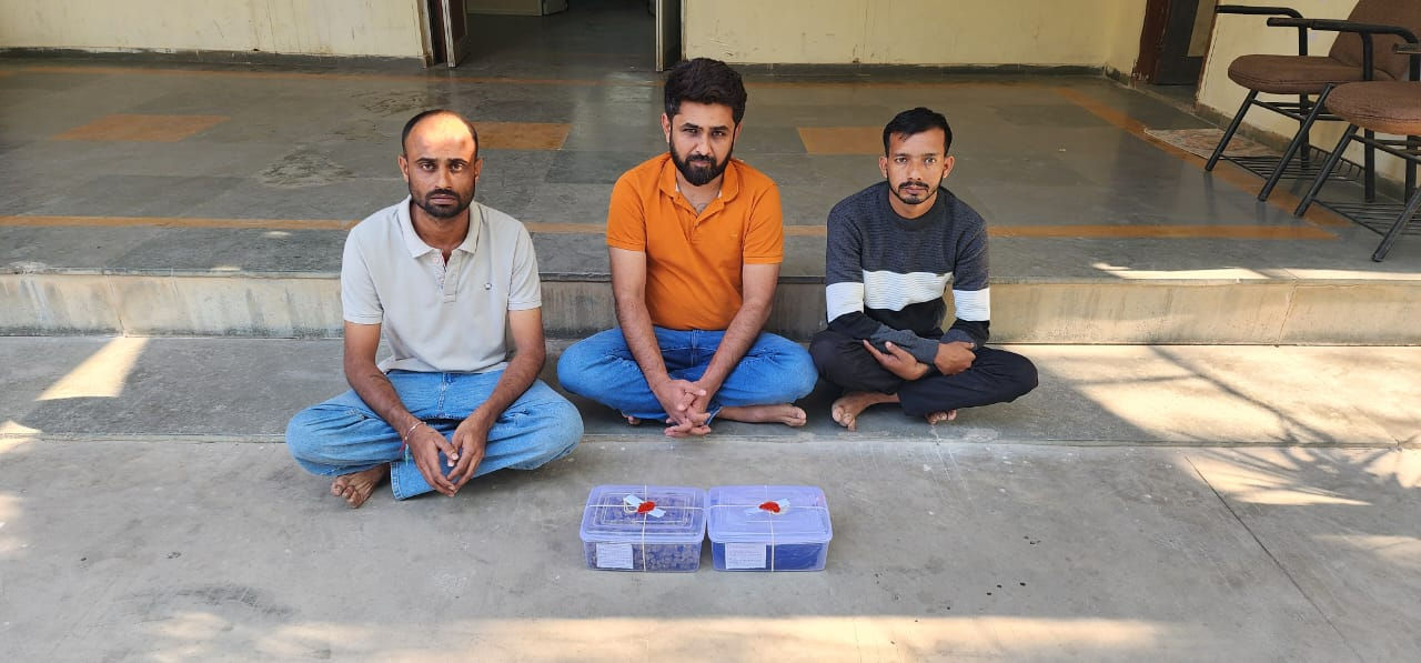 Gujarat SMC busts hydro weed racket near Shela-Bopal, drugs worth ₹15 lakh seized