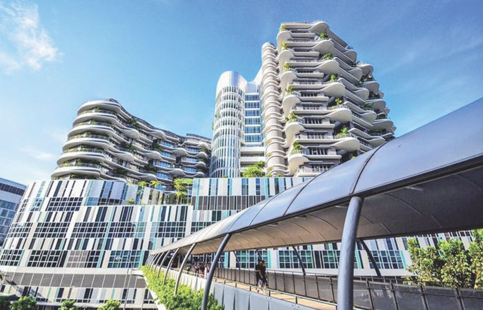 બજારની વાત                          . 6 - image