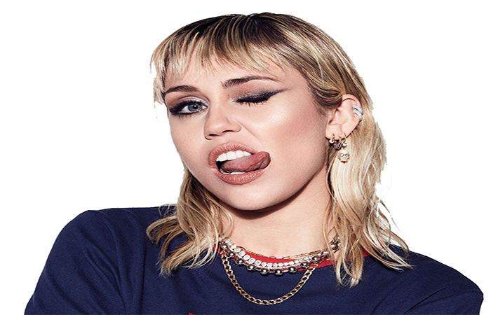 માઈલી સાયરસ અને હેના મોન્ટેના: એનિવર્સરી સ્પેશિયલ 1 - image