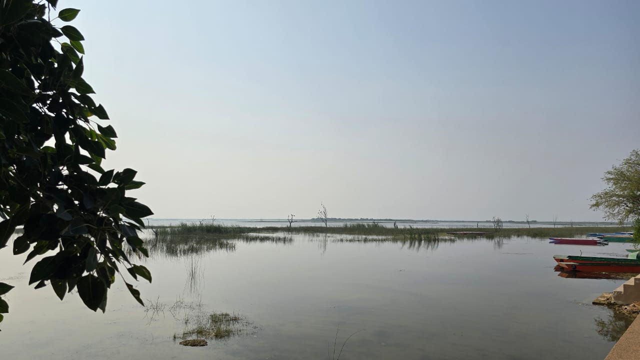 નળ સરોવરમાં બોટિંગ બંધ: પ્રવાસીઓને  'વીલા મોઢે' પાછા ફરવાનો વારો, સ્થાનિકોની રોજીરોટી છીનવાઈ 3 - image