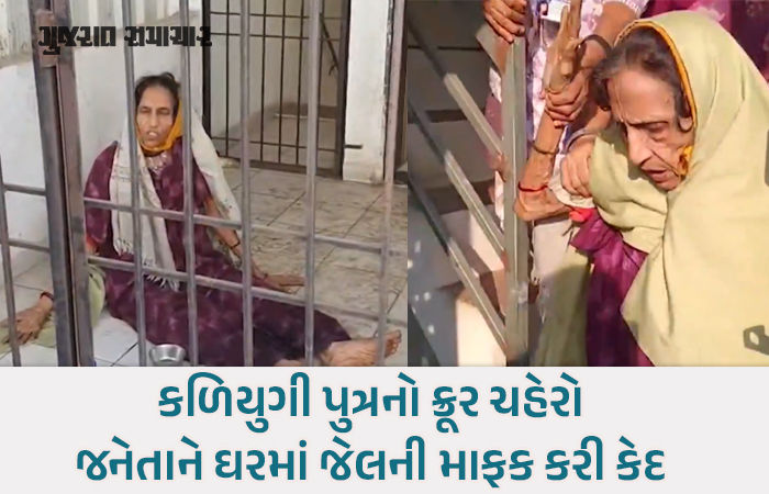 સુરતમાં પુત્રએ જ 65 વર્ષીય માતાને મહિનો ઘરમાં પૂરી રાખી, પાડોશીઓ ગ્રીલમાંથી ભોજન આપતા 1 - image