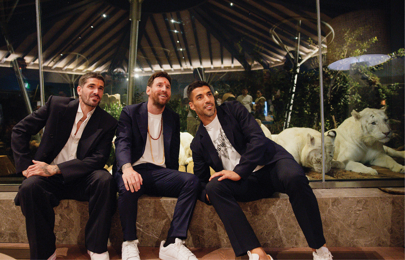 વનતારાની યાત્રાથી લિયોનેલ મેસ્સી મંત્રમુગ્ધ, એક અવિસ્મરણિય અનુભવ 7 - image