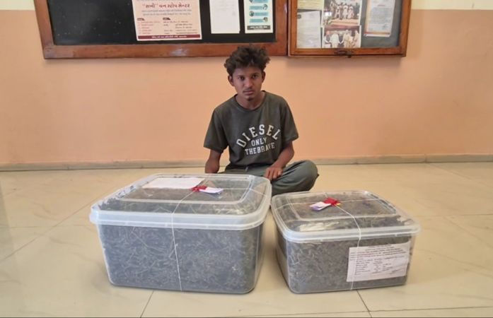 હિંમતનગર: આવાસ યોજનાના મકાનમાં પોલીસના દરોડા, 6 કિલો ગાંજાના જથ્થો એકની ધરપકડ 1 - image